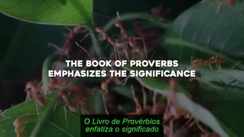 O misterioso homem de Provérbios-Salomão nos advertiu