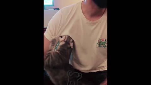 Cat likes to sniff on Armpits