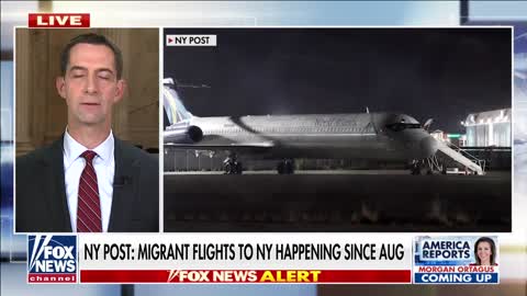 Tom Cotton: Biden admin trying to hide consequences of disastrous open border policies