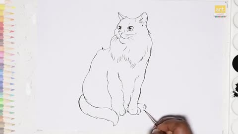 Siberian Cat drawing easy - How to draw Siberian Cat step by step