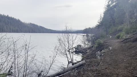 Mountain Lake & Forest Shoreline Trail of Suttle Lake – Central Oregon – 4K