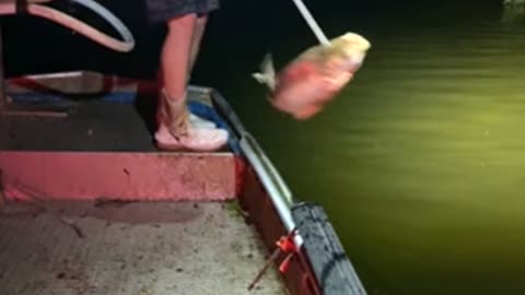 HEADSHOT (bowfishing BIG silver carp