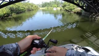 Summer Fishing for BIG Bass (Crazy Fish Catch)