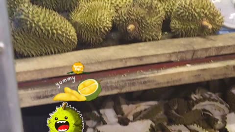 Bangkok Thailand Durian Fruit