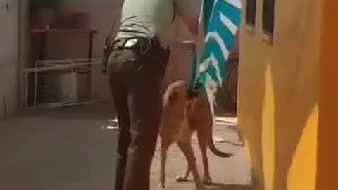 Hopeless Dog Rescued By Police Officer