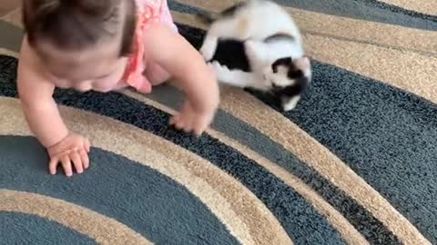 Baby playfully gets into a Cat fight 🧸