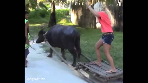 Top Funny Fails Compilation