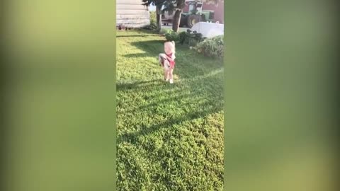 Funny Cats And Babies Playing Together Happily With Family