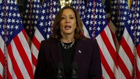 VP Harris : I Told Netanyahu It's Time To Get The Cease Fire Deal Done?!