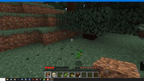 minecraft1.17.1hacks_minecrafthacks_minecrafttiktok_shorts_Short_48