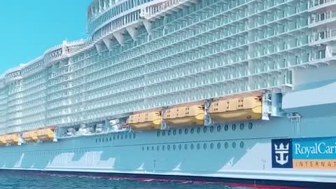 One of the largest ships in the world #ships_life