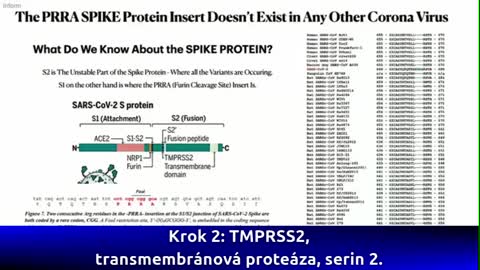 Dr. Richard Fleming shows the HIV inserts to the S Spike Protein, Dallas 10-7-2021