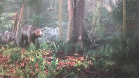 Funny 3D Animal in Forest