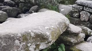 Granite boulders in a rive. Dartmoor