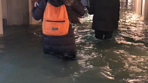 Jaw-dropping footage shows tourists walking through flooded Venice