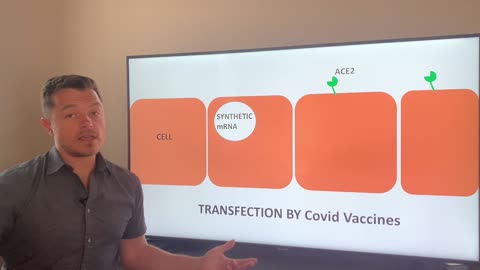 Spike Protein Introduction, Transfection