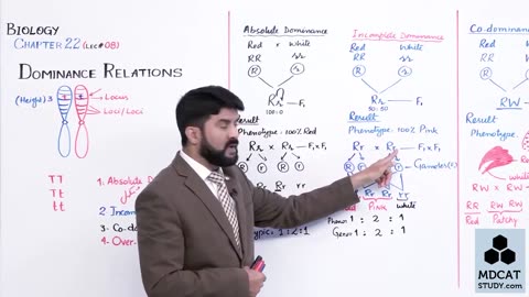 LEC#8 DOMINANCE RELATIONS