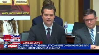 DOJ official accidentally confirms ongoing probe into Hunter Biden's business dealings