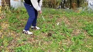 Amazing golf shot through the forest !