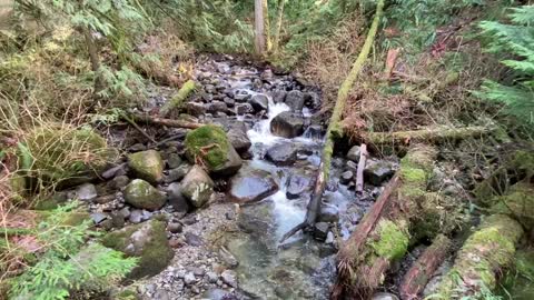 Small creek mission bc relaxing stream of water