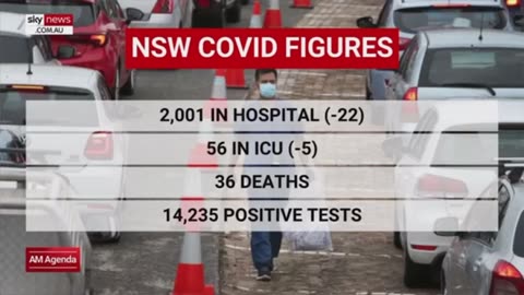 The Remdesivir Murders- The Covid Hospital Protocols