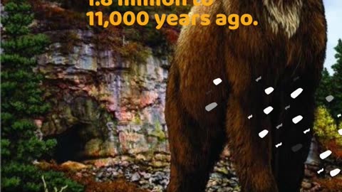 Short Faced Bear Facts