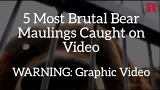 5 Most Brutal Bear Maulings Ever Caught on Camera