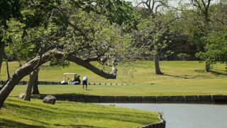 Rory McIlroy and Shane Lowry win Zurich Classic of New Orleans