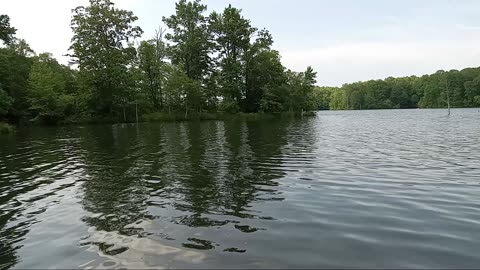 Lake Gram viral video Jackson Tennessee