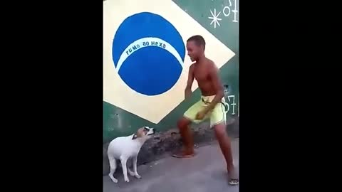 Perrito Bailando