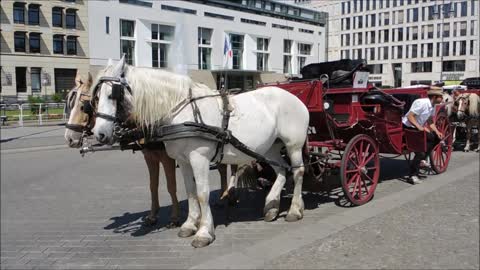 Horse-drawn Carriage