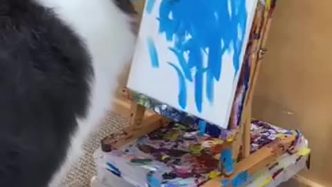 Doggo Picasso