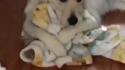 Not letting go of the blanky