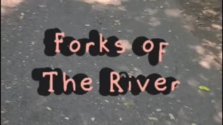 Forks of the river