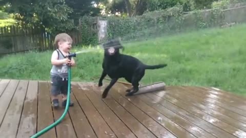 Baby and dog funny video