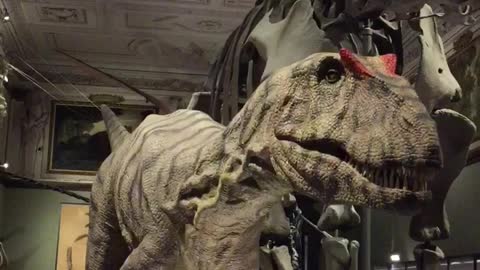Super realistic velociraptor tries its best to scare everyone
