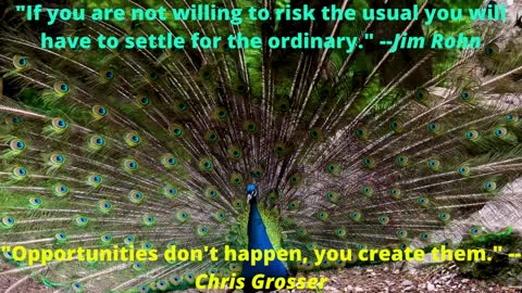If You are not willing to risk.....