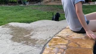 Pup Thought it Could Walk on Water