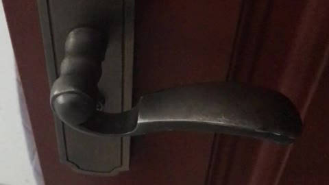 The door lock of the wooden door