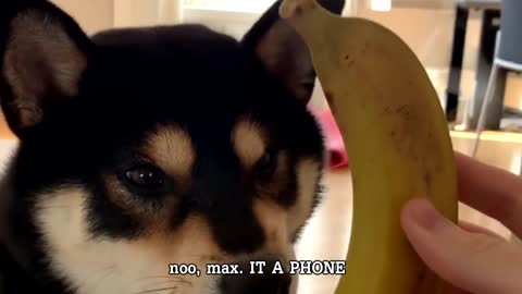 Max, you are recieving a call