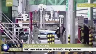 WHO coronavirus investigators arrive in Wuhan