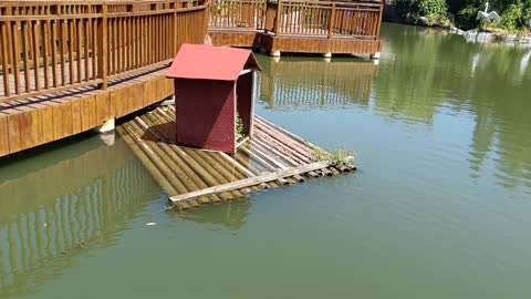 What is this little house floating in this river for?