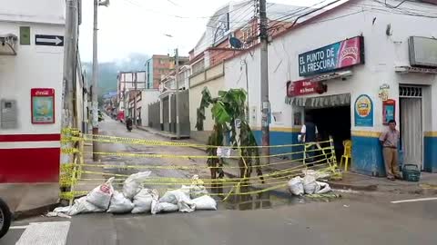 matas de platano dos