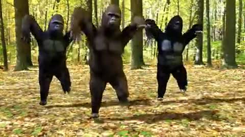 Ego - The Crazy Things We Do Official Music Video (Dancing Gorillas)