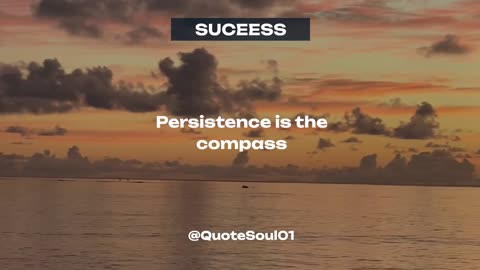 Persistence is the compass