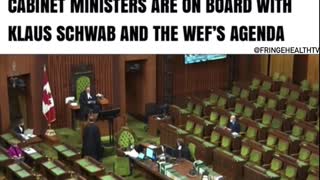 MP asks a question about Klaus Schwab