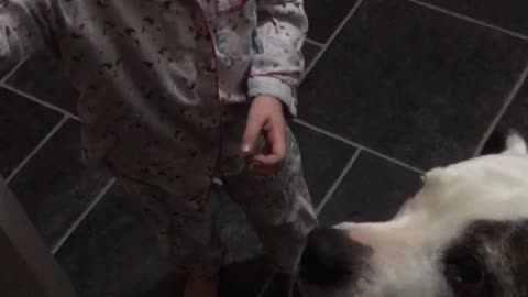 Adorable Little girl feeds her dog