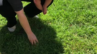 Babies First Touch Of Grass