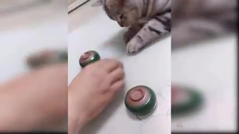Baby Cats - Cute and Funny Cat Videos😆😂