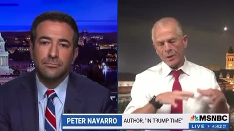 Peter Navarro Details Strategy To Challenge 2020 Election. Fedsurrection?